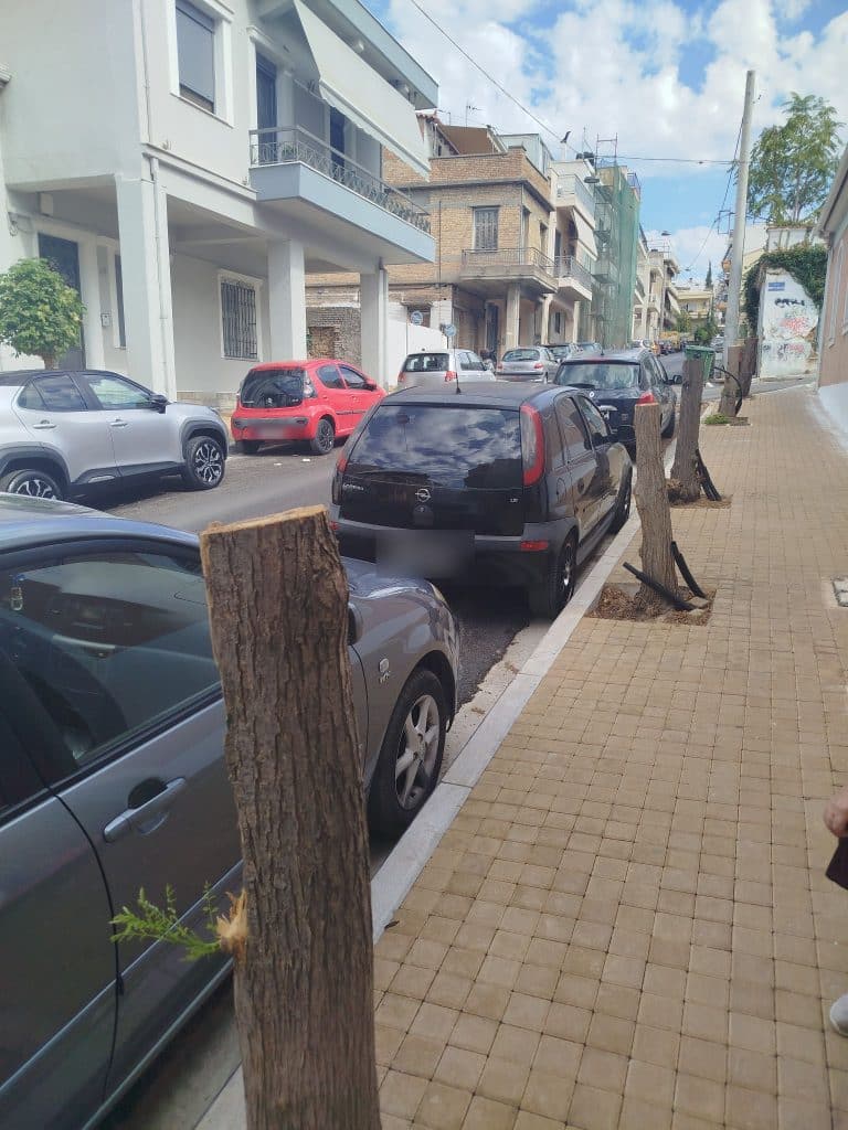 Πάτρα: Ο Δήμος στέλνει στο εδώλιο ιδιοκτήτη επιχείρησης που "έσφαξε" δένδρα