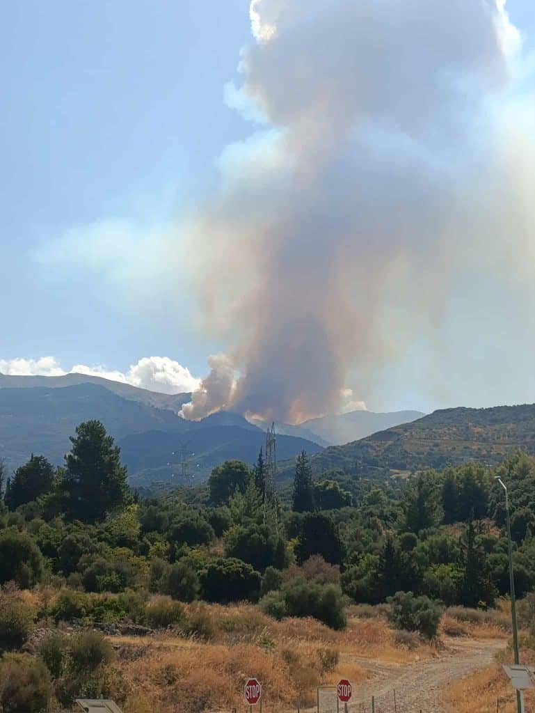 Πάτρα - ΤΩΡΑ: Φωτιά στο Παναχαϊκό - φωτό