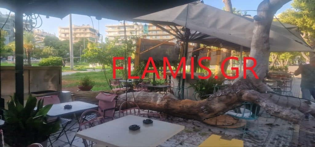 ΠΑΤΡΑ - ΤΩΡΑ: Της κακομοίρας στα Ψηλαλώνια! Φορτηγό ξήλωσε καλώδια .... και τα καλώδια ολόκληρο δένδρο που έπεσε σε καφέ! ΦΩΤΟ