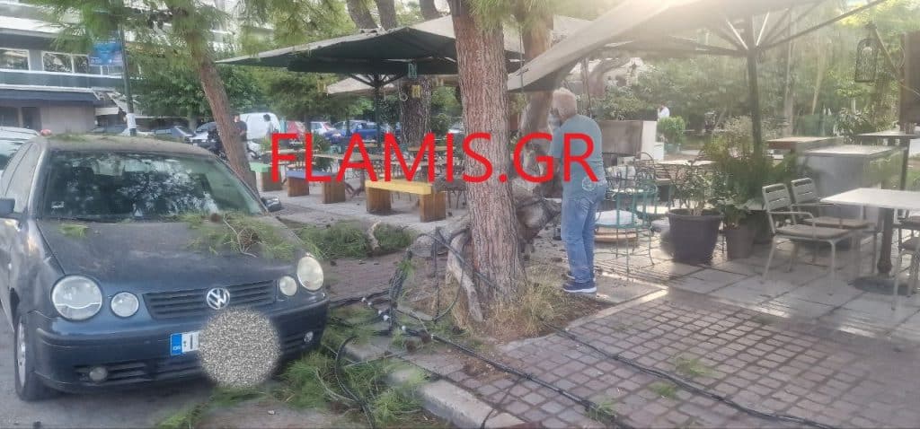 ΠΑΤΡΑ - ΤΩΡΑ: Της κακομοίρας στα Ψηλαλώνια! Φορτηγό ξήλωσε καλώδια .... και τα καλώδια ολόκληρο δένδρο που έπεσε σε καφέ! ΦΩΤΟ