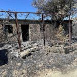 Περιοδεία στελεχών του ΠΑΣΟΚ στις καμμένες περιοχές της Αιγιάλειας