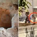 Ειδικός ανθρωπολόγος θα δώσει απαντήσεις για το χρόνο και τα αίτια θανάτου της ηλικιωμένης που έθαψε η κόρη της στη Βοιωτία - Στην Κρήτη τα οστά