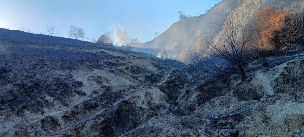 ΦΩΤΟΓΡΑΦΙΕΣ ΝΤΟΚΟΥΜΕΝΤΟ: Τοξική εστία μόλυνσης στα «σύνορα» της Πάτρας!