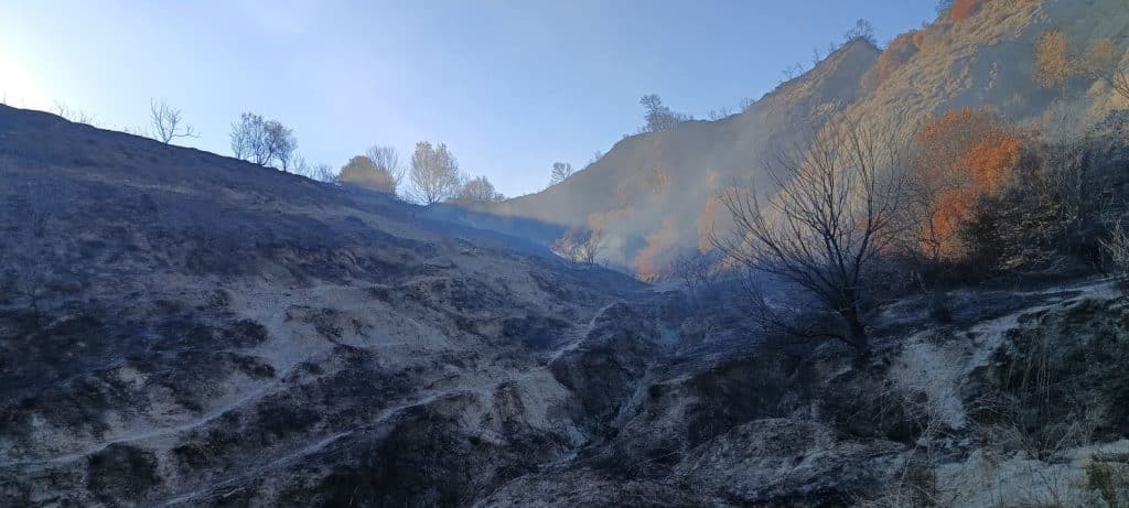 ΦΩΤΟΓΡΑΦΙΕΣ ΝΤΟΚΟΥΜΕΝΤΟ: Τοξική εστία μόλυνσης στα «σύνορα» της Πάτρας!