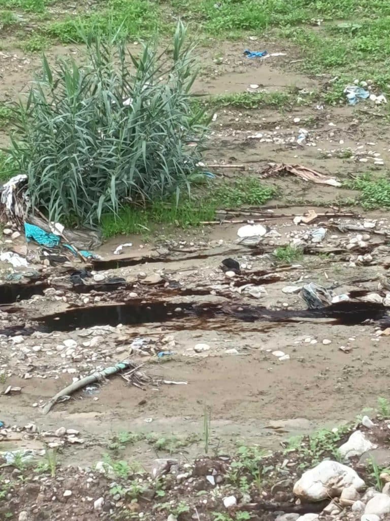 ΚΩΣΤΑΣ ΣΒΟΛΗΣ ΠΡΟΣ ΠΕΛΕΤΙΔΗ: Ντροπή κύριοι! Κοιτάξτε την κατάντια της Πάτρας με τη μόλυνση - φωτό ΚΩΣΤΑΣ ΣΒΟΛΗΣ ΠΡΟΣ ΠΕΛΕΤΙΔΗ: Ντροπή κύριοι! Κοιτάξτε την κατάντια της Πάτρας με τη μόλυνση - φωτό