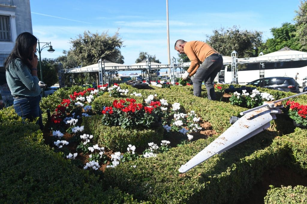 Πάτρα: Οι "κομάντος" του Πετρόπουλου... άνθισαν το ρολόι στην Τριών Συμμάχων - φωτό Πάτρα: Οι "κομάντος" του Πετρόπουλου... άνθισαν το ρολόι στην Τριών Συμμάχων - φωτό