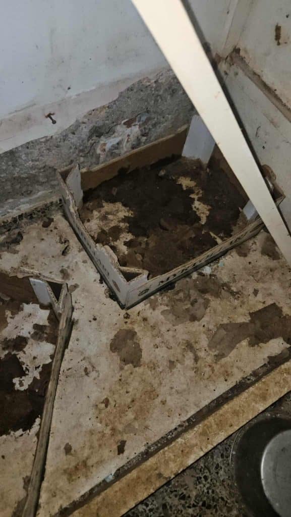 Φωτό - σοκ! Είχε κλείσει 28 γάτες σε ένα δωμάτιο στο σκοτάδι! Παρέμβαση Εισαγγελέα Πατρών Φωτό - σοκ! Είχε κλείσει 28 γάτες σε ένα δωμάτιο στο σκοτάδι! Παρέμβαση Εισαγγελέα Πατρών