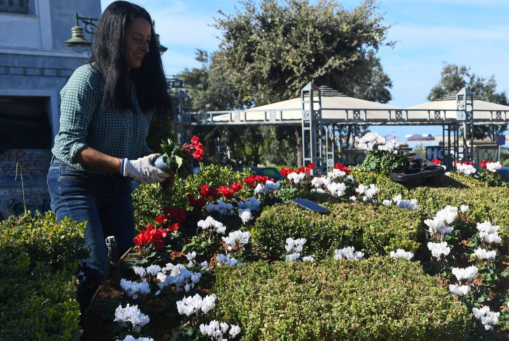 Πάτρα: Οι "κομάντος" του Πετρόπουλου... άνθισαν το ρολόι στην Τριών Συμμάχων - φωτό Πάτρα: Οι "κομάντος" του Πετρόπουλου... άνθισαν το ρολόι στην Τριών Συμμάχων - φωτό