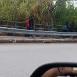 Πάτρα: Πραγματική ζούγκλα στην οδό Πανεπιστημίου