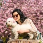 Γιατί τα σκυλιά στην Ιαπωνία ζουν περισσότερο