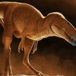Khankhuuluu: Ανακαλύφθηκε ο «πρίγκιπας των δράκων» – Ποιος είναι ο πρόγονος του T. rex