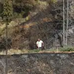 Πάτρα: Ενημέρωση για στεγαστική συνδρομή στους πυρόπληκτους του Δήμου