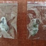 Ζάκυνθος: Συνελήφθησαν 15χρονος και 18χρονος για κατοχή ναρκωτικών ουσιών