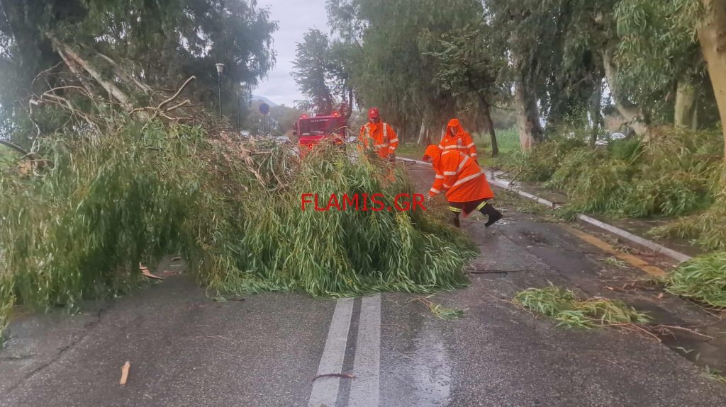Ανεμοστρόβιλος χτύπησε το κέντρο της Πάτρας - Επεσαν δένδρα σε αυτοκίνητα - Εσπασαν τζαμαρίες