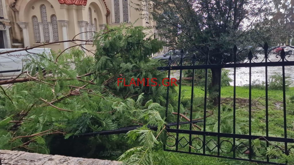 Πάτρα - Δείτε βίντεο: Οι μεγάλες ζημιές από τον ανεμοστρόβιλο στον Αγιο Ανδρέα! Δένδρα πάνω σε ΙΧ - Ξηλώθηκε η σιδερένια περίφραξη