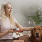 Πρωτοποριακή τεχνολογία για κατοικίδια: Έξυπνα περιλαίμια μεταφράζουν όσα λένε οι σκύλοι