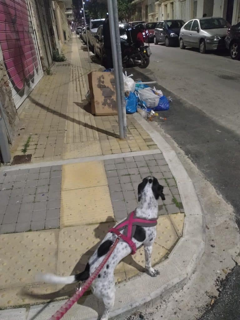 Πάτρα: Δείτε πώς βρώμισαν την οδό Υψηλάντου