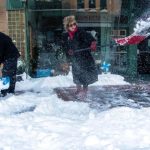 Ρεκόρ ψύχους στις ΗΠΑ: Οι «χιονοθύελλες λίμνης» και τα παγωμένα ιγκουάνα – ΦΩΤΟ - ΒΙΝΤΕΟ