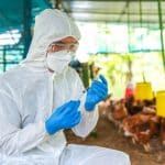 Ο ιός της γρίπης των πτηνών αν μεταλλαχθεί, μπορεί να προκαλέσει πανδημία χειρότερη του κορονοϊού – Σενάριο τρόμου από το Ινστιτούτο Παστέρ