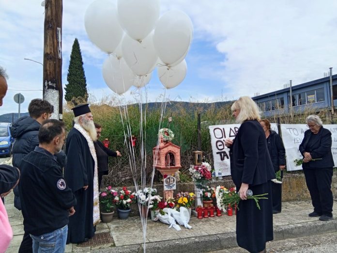 IMG20251102120540-Medium