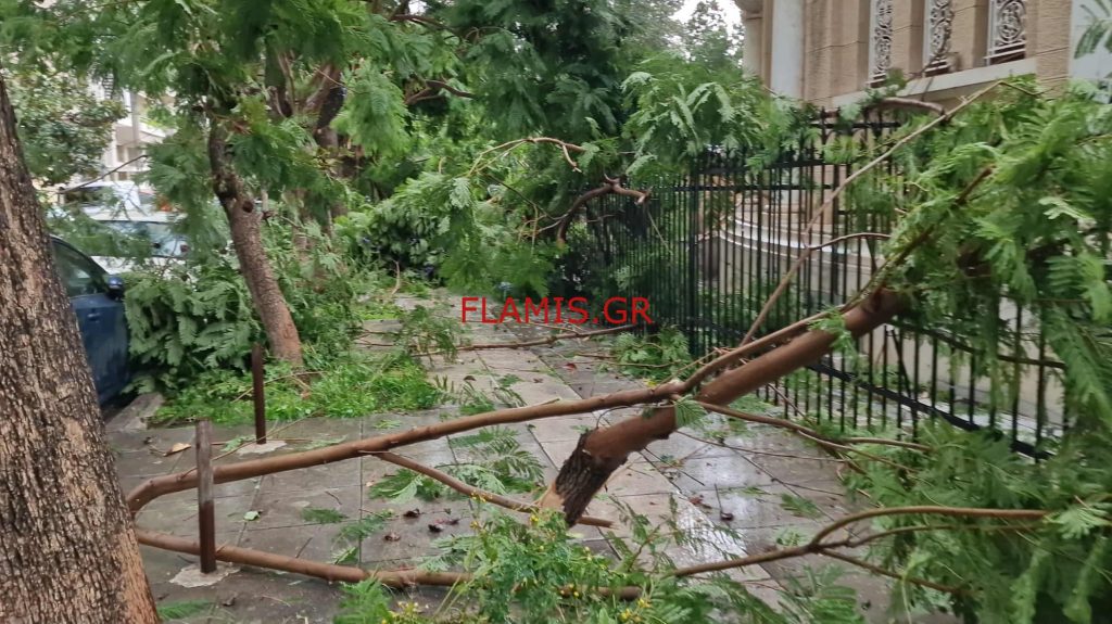 Πάτρα - Δείτε βίντεο: Οι μεγάλες ζημιές από τον ανεμοστρόβιλο στον Αγιο Ανδρέα! Δένδρα πάνω σε ΙΧ - Ξηλώθηκε η σιδερένια περίφραξη