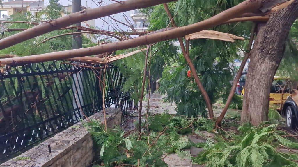 Πάτρα - Δείτε βίντεο: Οι μεγάλες ζημιές από τον ανεμοστρόβιλο στον Αγιο Ανδρέα! Δένδρα πάνω σε ΙΧ - Ξηλώθηκε η σιδερένια περίφραξη