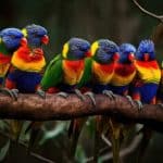 Κλιματική αλλαγή: Οι ακραίες θερμοκρασίες σκοτώνουν και τα τροπικά πτηνά