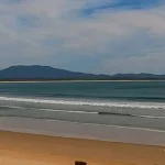 Σίδνεϊ: Ταυροκαρχαρίας κατασπάραξε 20χρονη σε παραλία – Σε κρίσιμη κατάσταση ο σύζυγός της