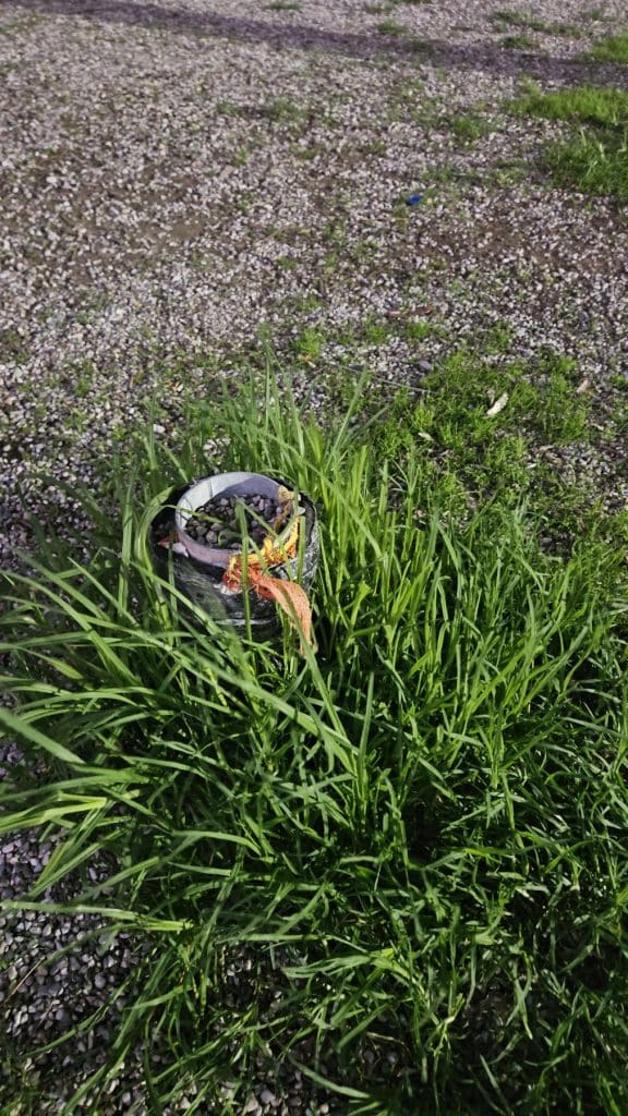 Πάτρα: Παιδική χαρά... καρμανιόλα! Σε απόγνωση γονείς: Ποιος θα αναλάβει την ευθύνη; φωτο