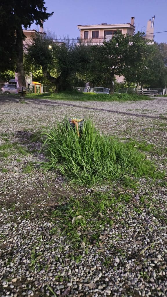 Πάτρα: Παιδική χαρά... καρμανιόλα! Σε απόγνωση γονείς: Ποιος θα αναλάβει την ευθύνη; φωτο