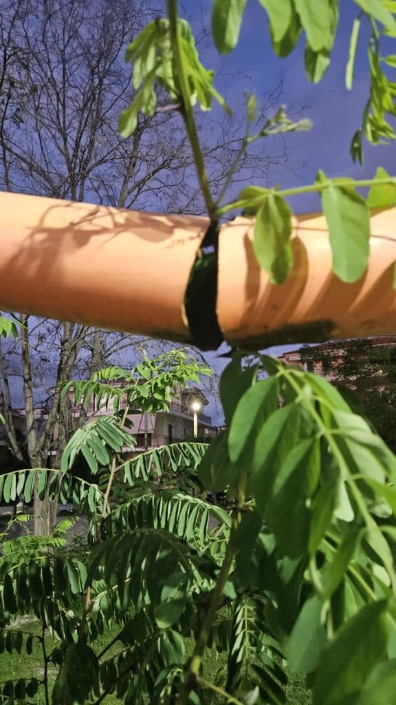 Πάτρα: Παιδική χαρά... καρμανιόλα! Σε απόγνωση γονείς: Ποιος θα αναλάβει την ευθύνη; φωτο