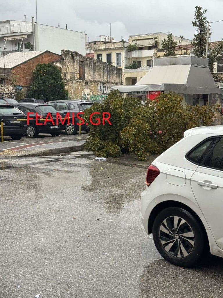 Ανεμοστρόβιλος χτύπησε το κέντρο της Πάτρας - Επεσαν δένδρα σε αυτοκίνητα - Εσπασαν τζαμαρίες