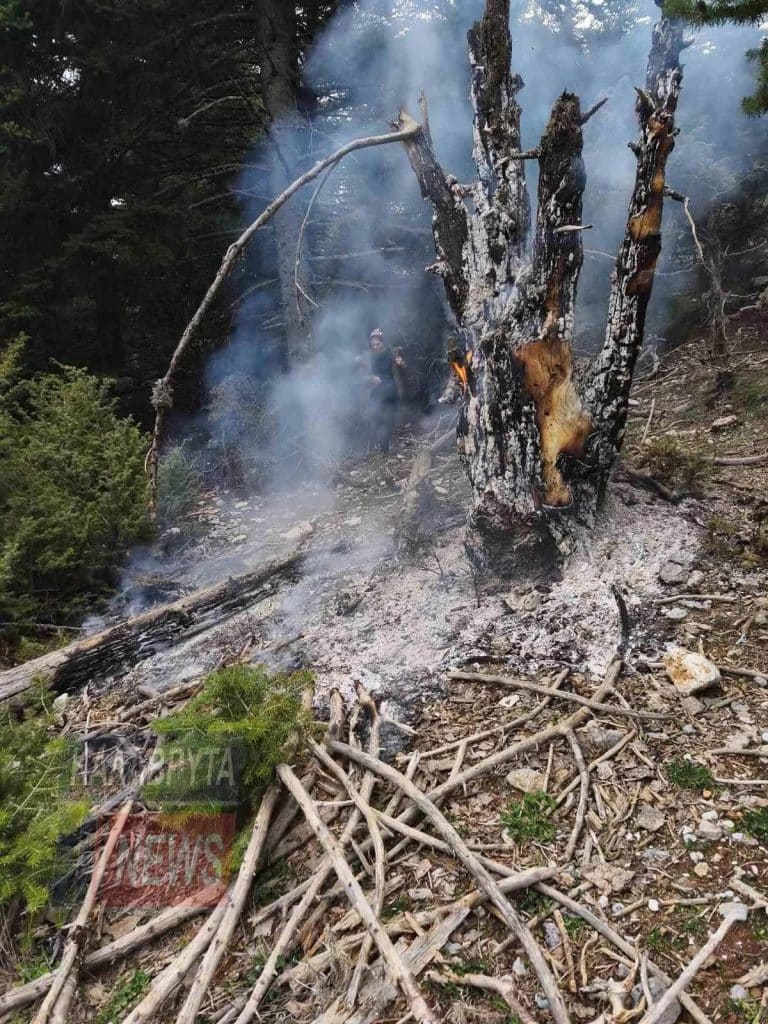 Δείτε φωτό: Πυρκαγιά στην ορεινή Αχαϊα