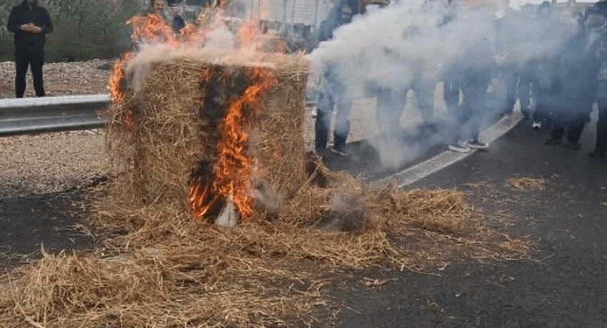 Ηλεία: Αγρότες έριξαν γάλα στον δρόμο και έκαψαν σανό (Φώτο)