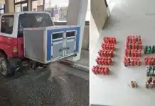 Σύλληψη τριών Ελλήνων στη Βόρεια Μακεδονία: Εντοπίστηκαν πάνω από 200 φυσίγγια σε ελέγχους στα σύνορα