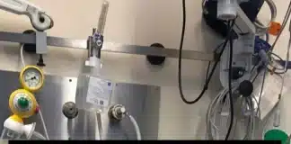 Στο νοσοκομείο ο Γιάννης Τσιμιτσέλης Αρχική