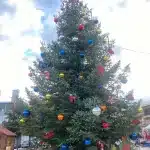 Την Τρίτη 9/12 το άναμμα του Χριστουγεννιάτικου δέντρου του Δήμου Δυτικής Αχαΐας