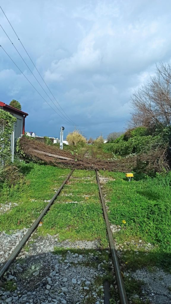 Πάτρα: Καρέ - καρέ όλα τα πλημμυρικά φαινόμενα του διημέρου - Κινδύνευσαν άνθρωποι -φωτό