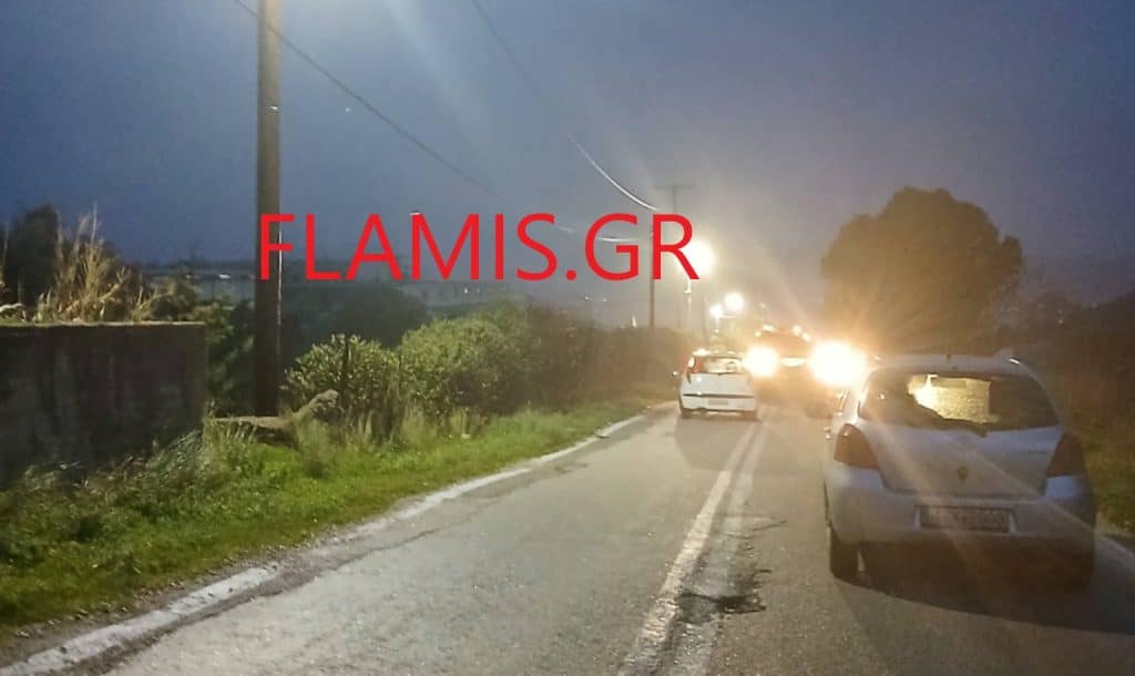 Πανικός κοντά στο "Τόφαλος"! ΙΧ έπεσε πάνω σε δένδρο που είχε ξεριζωθεί από τον αέρα! Φωτο