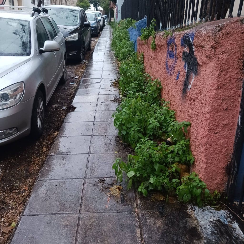 Πάτρα: Κόψτε τα χορτάρια...