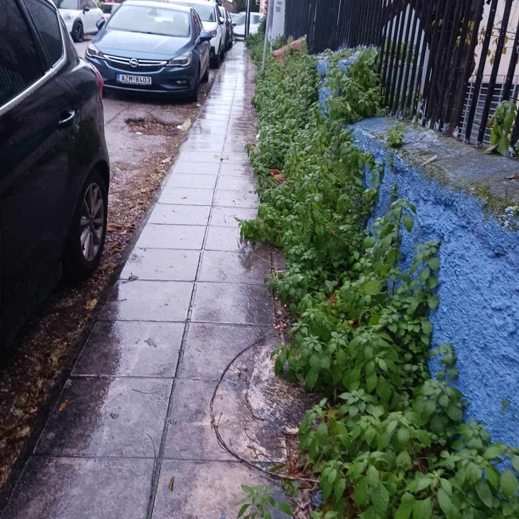 Πάτρα: Κόψτε τα χορτάρια...