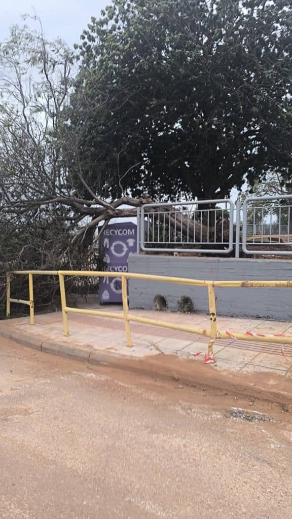 Δείτε φωτό: Πτώσεις δένδρων στο Σαραβάλι