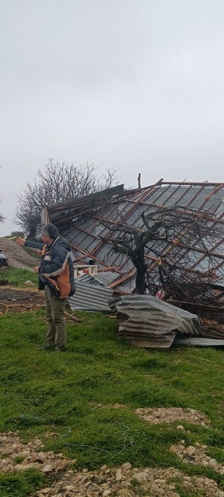 Απίστευτο: Ο άνεμος "σήκωσε" όλον τον στάβλο και χάθηκαν 60 πρόβατα! Ο ΕΛΓΑ Πάτρας στο σημείο - φωτο
