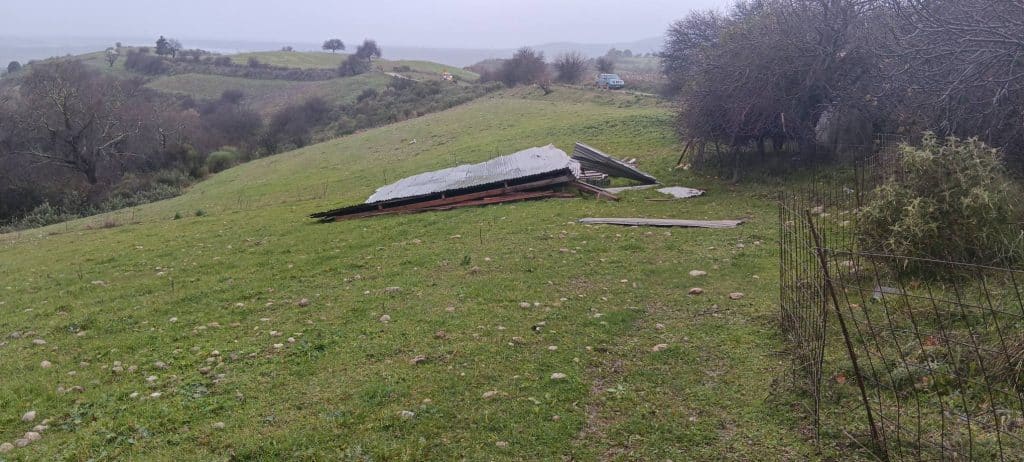 Απίστευτο: Ο άνεμος "σήκωσε" όλον τον στάβλο και χάθηκαν 60 πρόβατα! Ο ΕΛΓΑ Πάτρας στο σημείο - φωτο