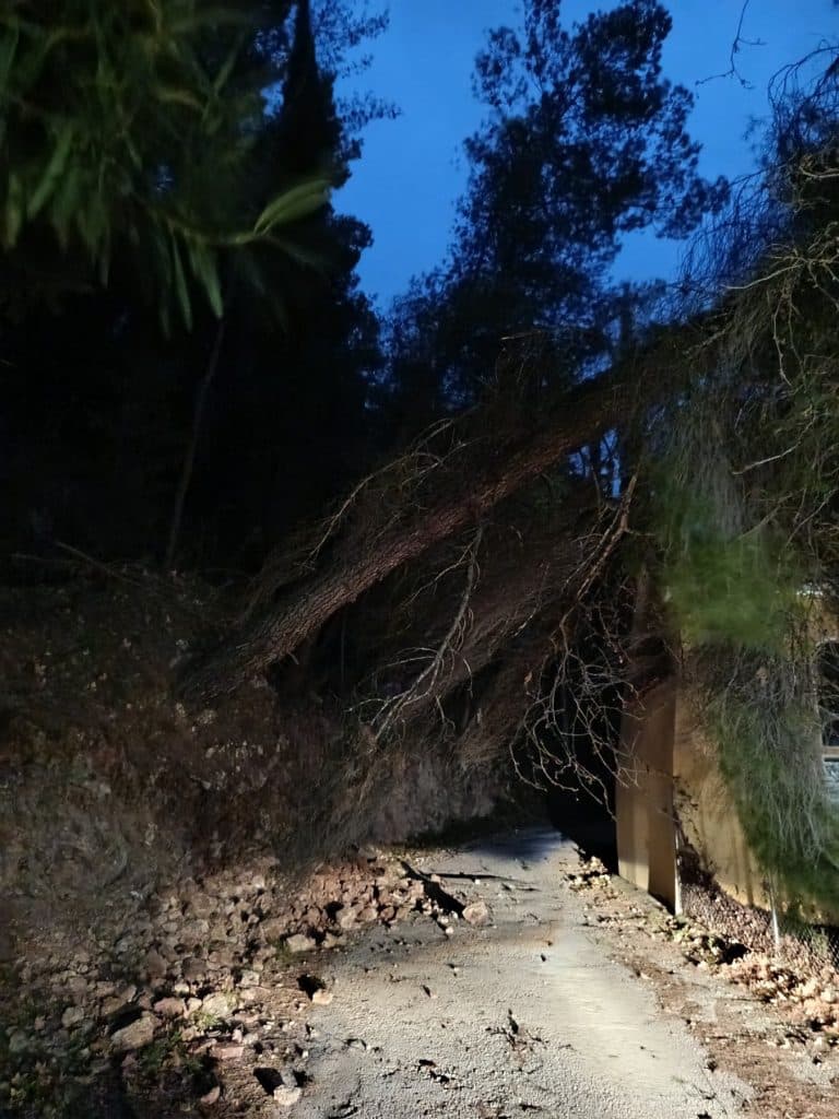 Δείτε φωτό: Πτώσεις δένδρων στο Σαραβάλι