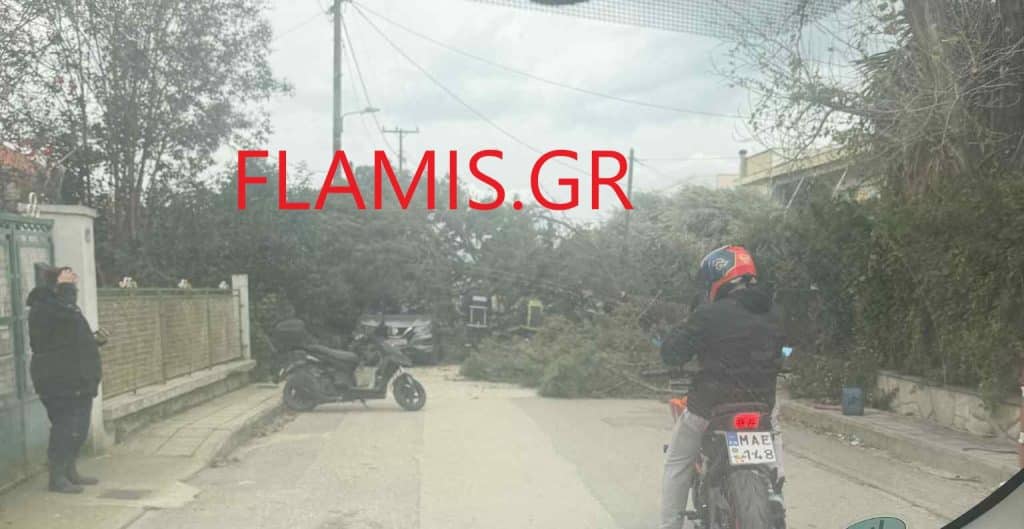 «Σφυροκόπηµα» σ’ όλη την Πάτρα! Καρέ καρέ όσα συνέβησαν χθες λόγω κακοκαιρίας - φωτό και βίντεο