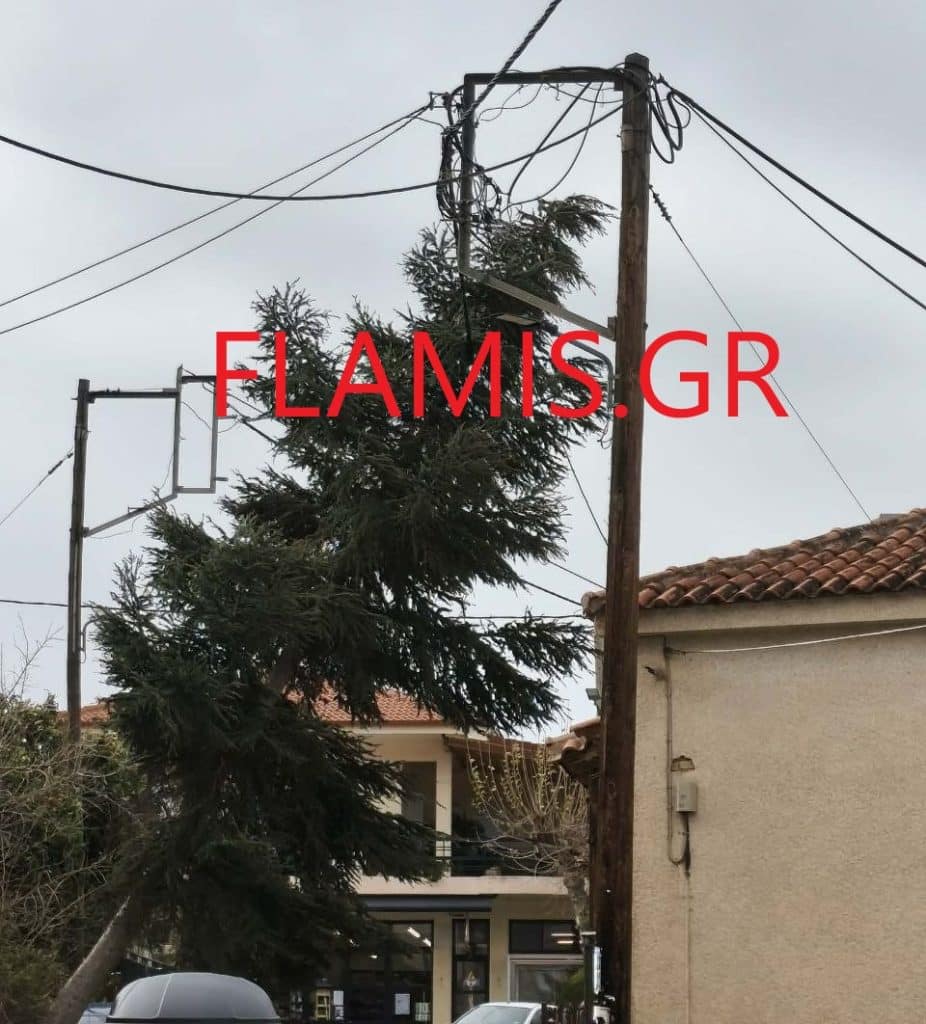 Πάτρα: Τεράστιο δένδρο έγειρε στην Κρήνη και απειλεί....