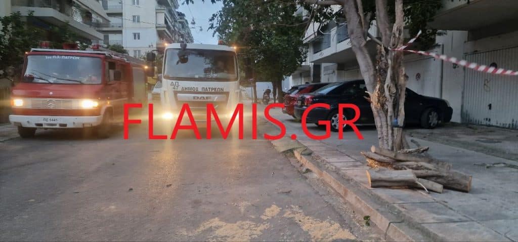 Πάτρα: Επεσε δένδρο και έφραξε την πόρτα του σπιτιού τους! Δεν μπορούν να βγουν - Δένδρο και σε ΙΧ - φωτο