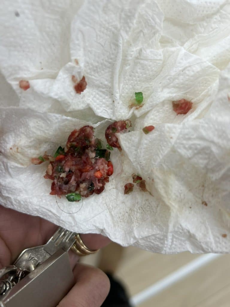 ΦΟΝΙΑΣ ΖΩΩΝ ΣΤΟ ΖΑΒΛΑΝΙ: Εριξε δηλητηριασμένο κιμά... έξω από pet shop! Βίντεο από την προσπάθεια να σωθούν γατούλες