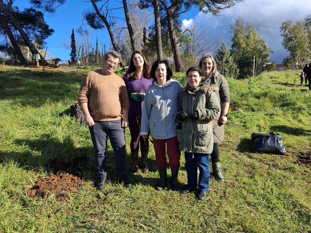 Πάτρα: Δείτε καρέ καρέ πώς έγινε η αναδάσωση στο Γηροκομειό